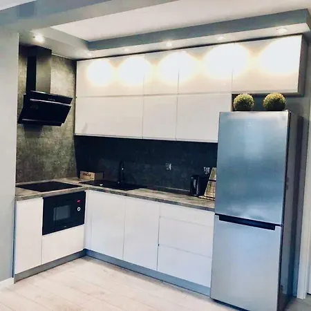 公寓 Sonia 卡尔帕奇