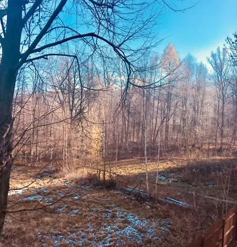 Διαμέρισμα Sonia