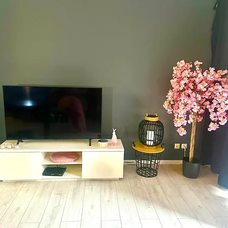 Sonia Apartment *